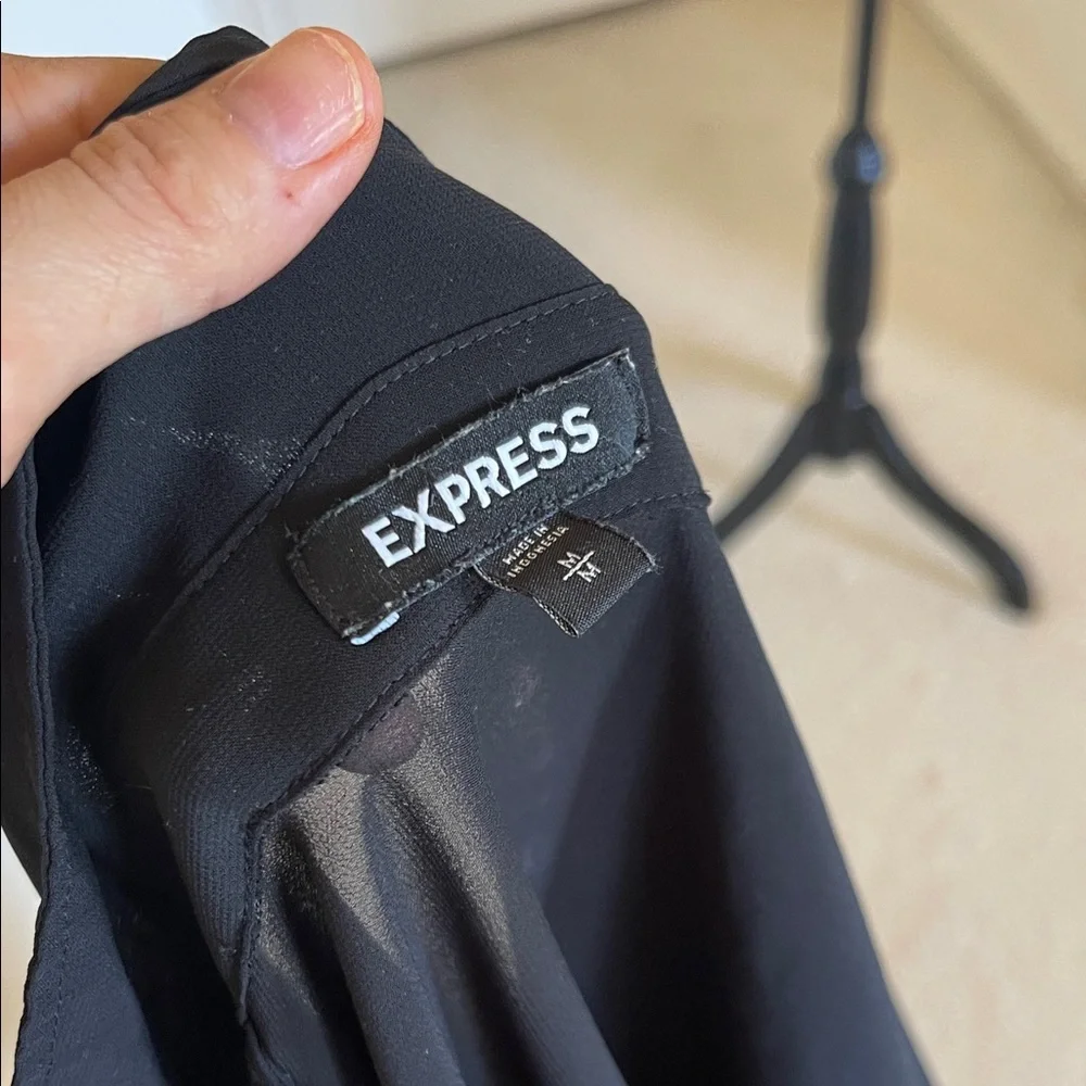 Express Black Sheer Blouse - Picture 5 of 5